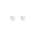Classic Real Angara Pearl Stud Earrings