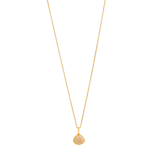 Aurora Shell Radiance Pendant